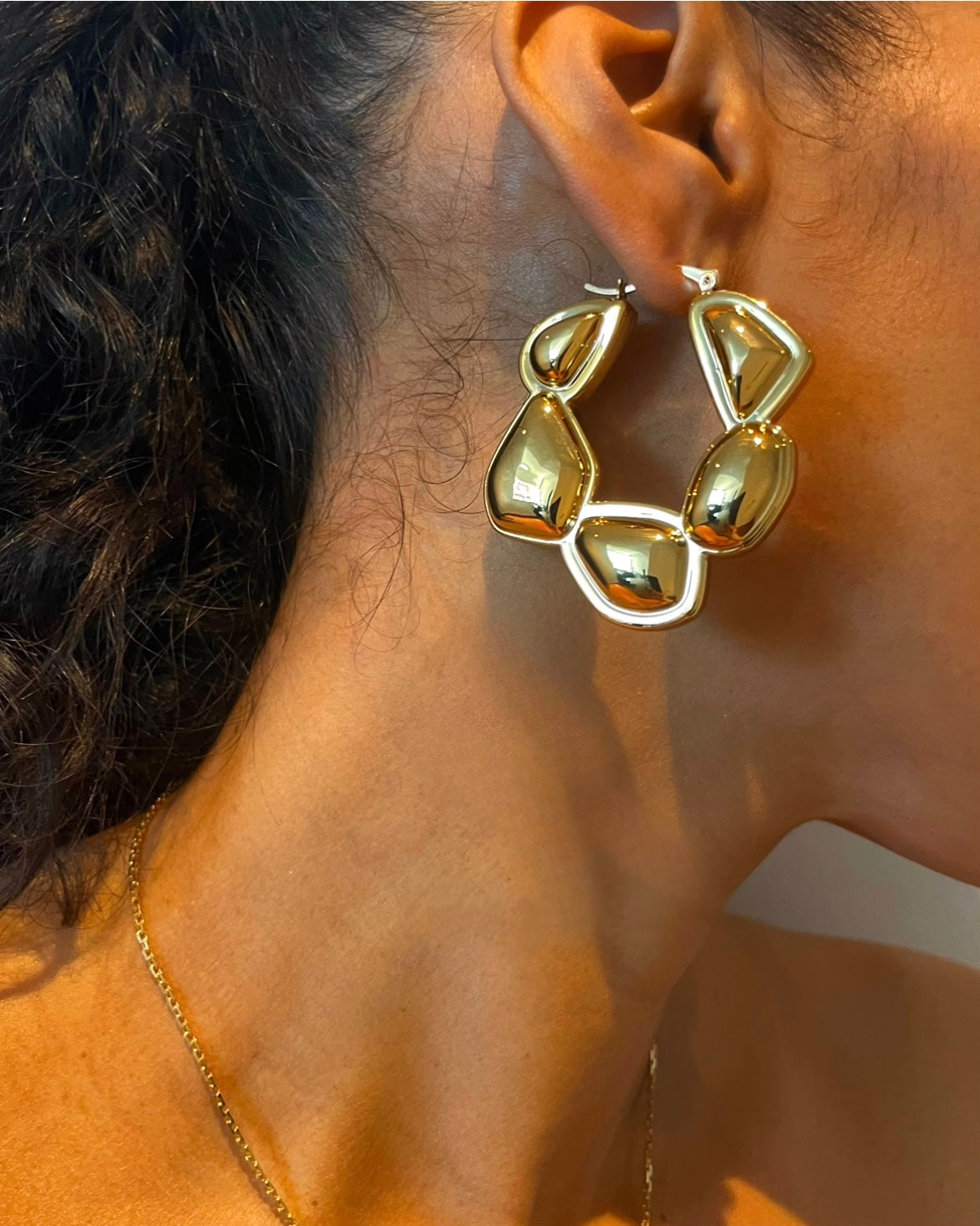 Ara Earrings {view}