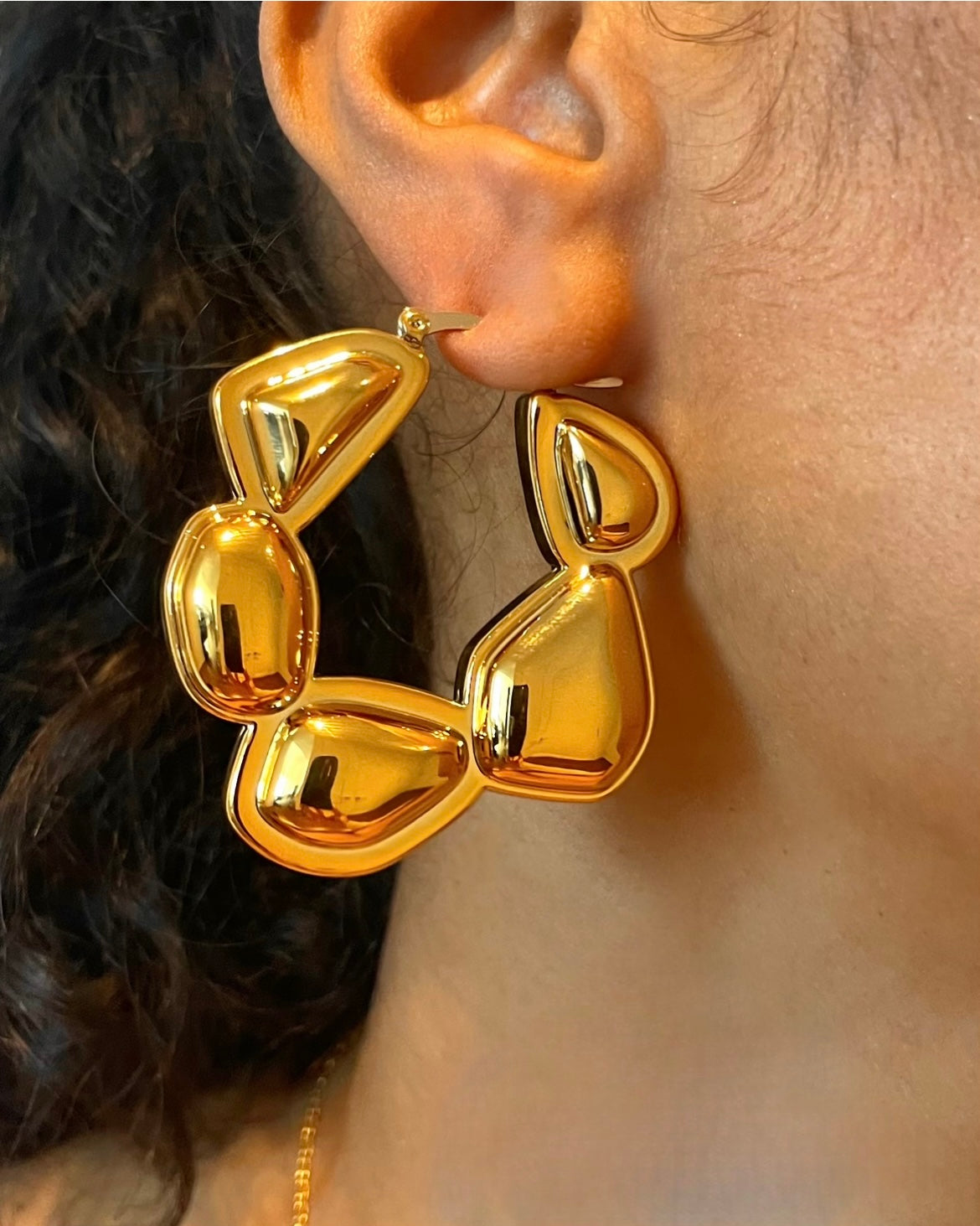 Ara Earrings {view}