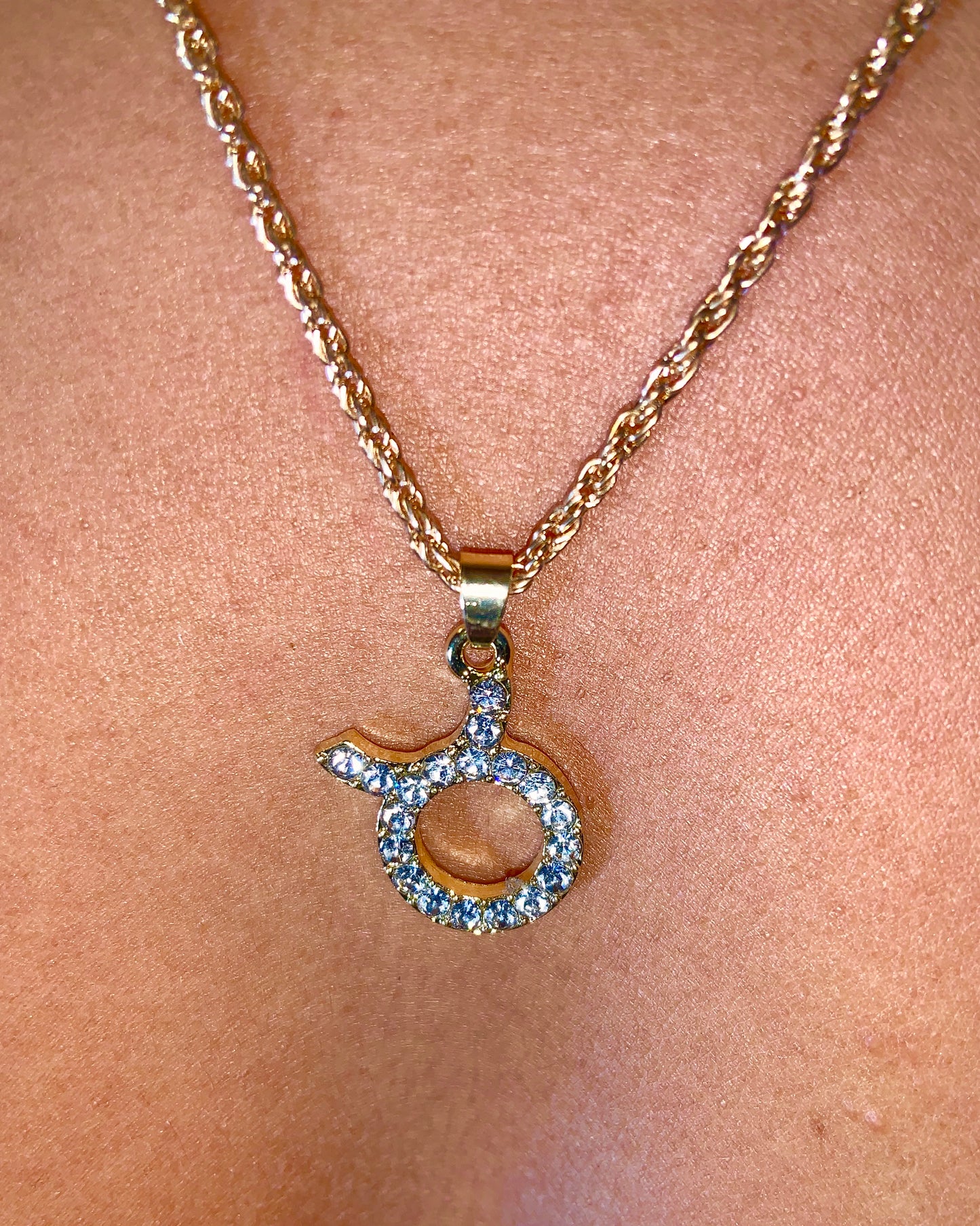 Zodiac Charm Necklace {view} Sign Options