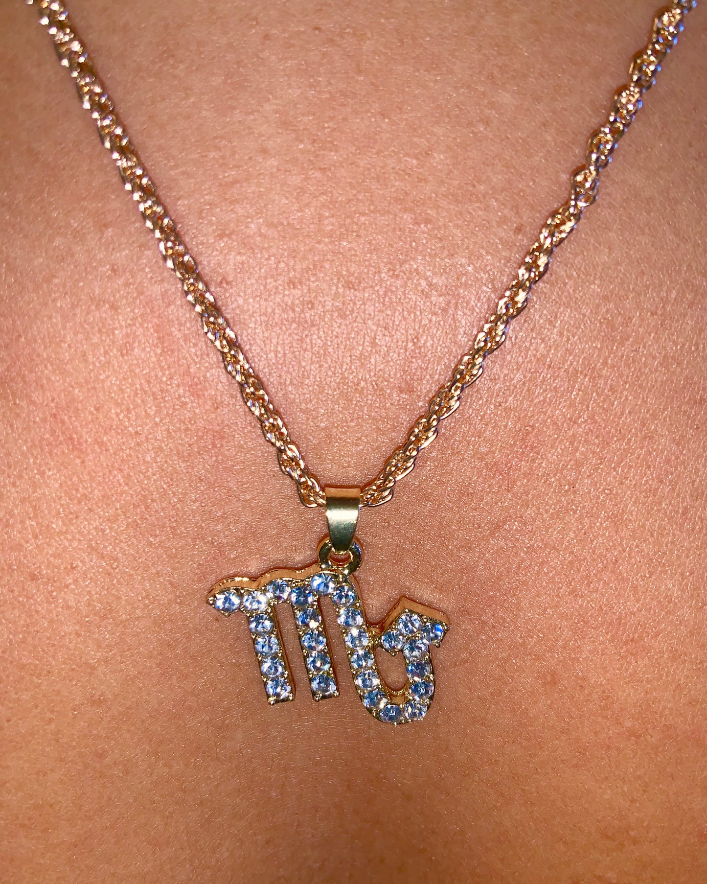 Zodiac Charm Necklace {view} Sign Options