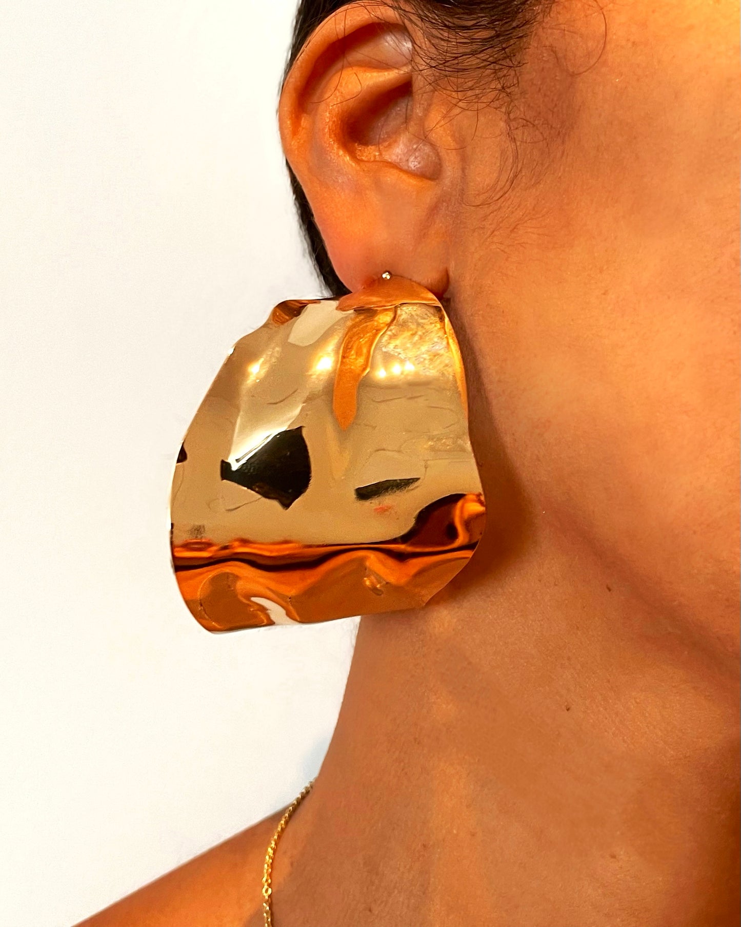 Raven Earrings {view}