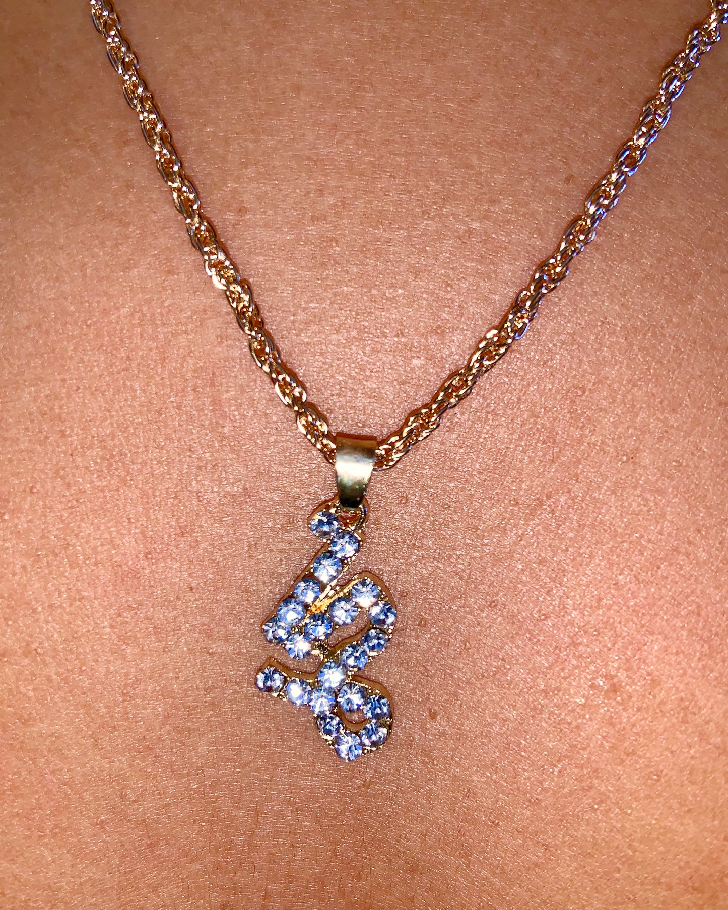 Zodiac Charm Necklace {view} Sign Options