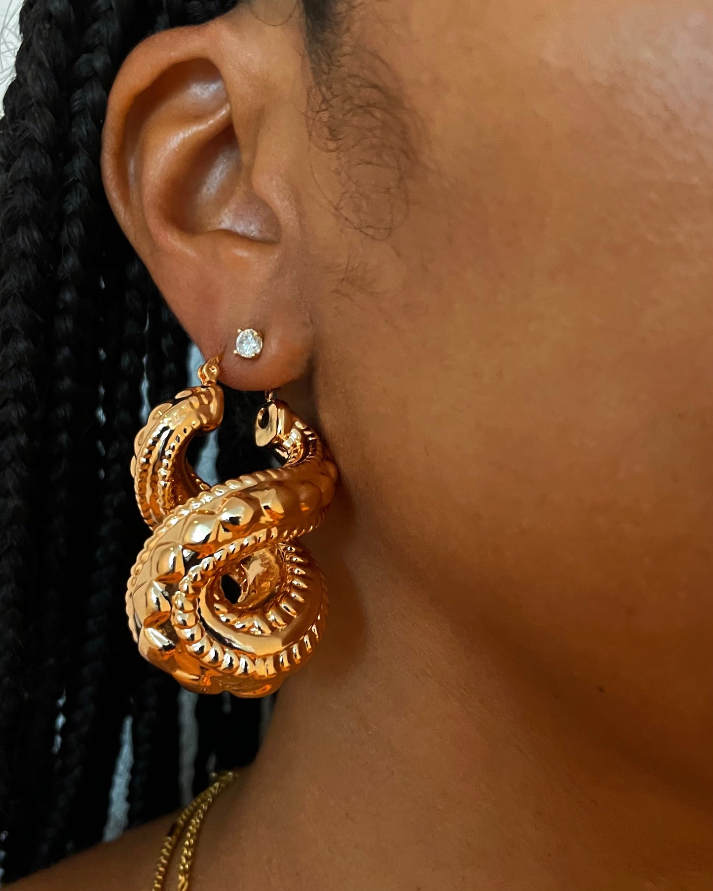 Taryn Earrings {view}
