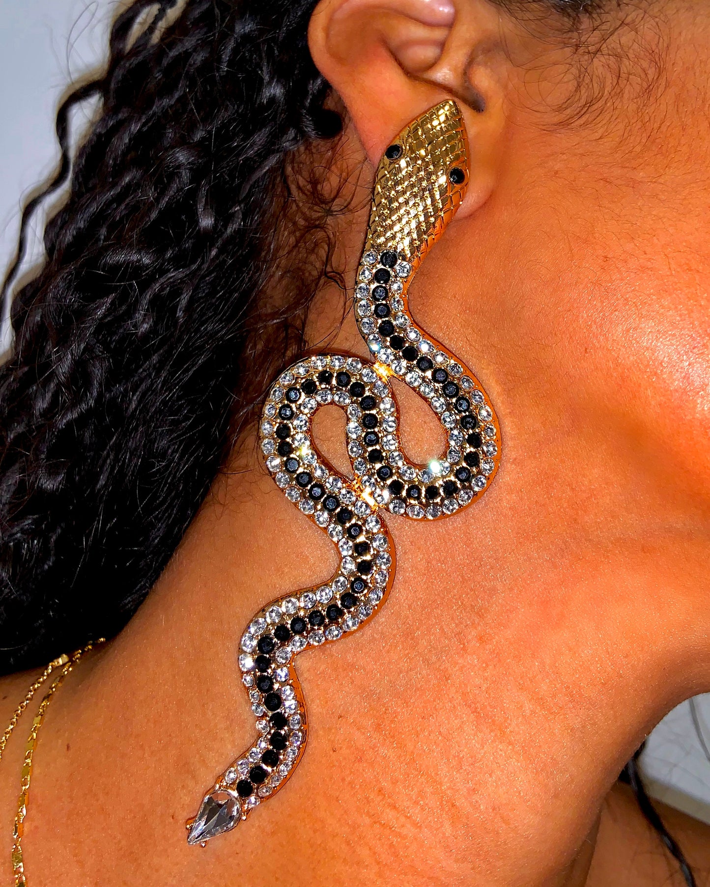 Saniya Earrings {view}