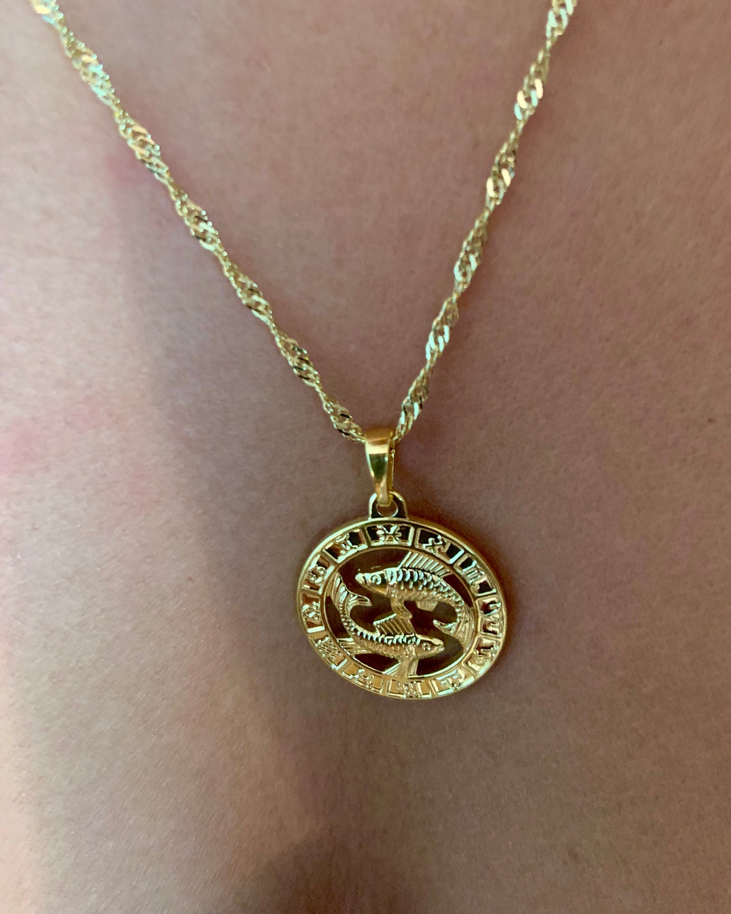 Zodiac Necklace~ {view} Sign Options