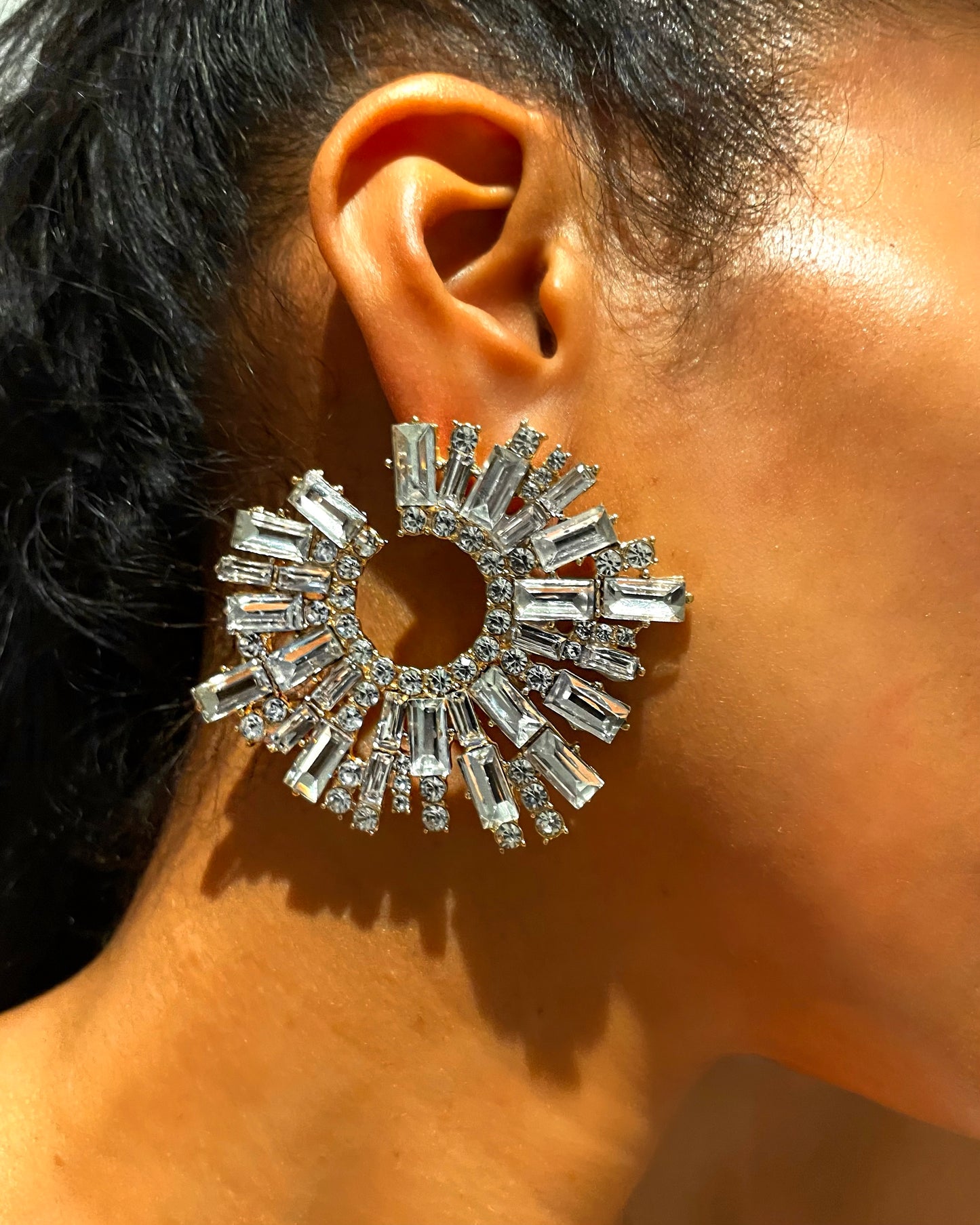 Ara Earrings {view}