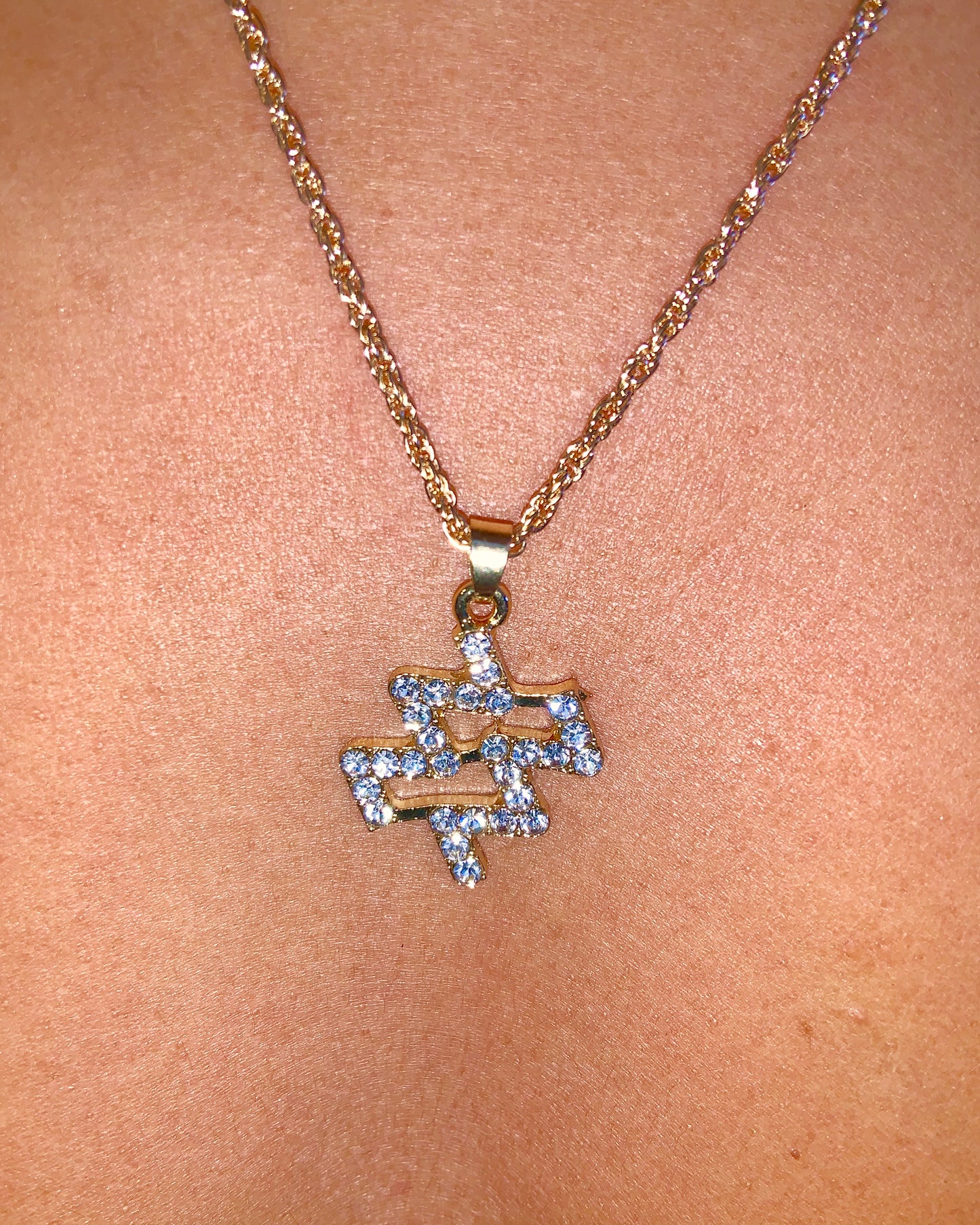 Zodiac Charm Necklace {view} Sign Options