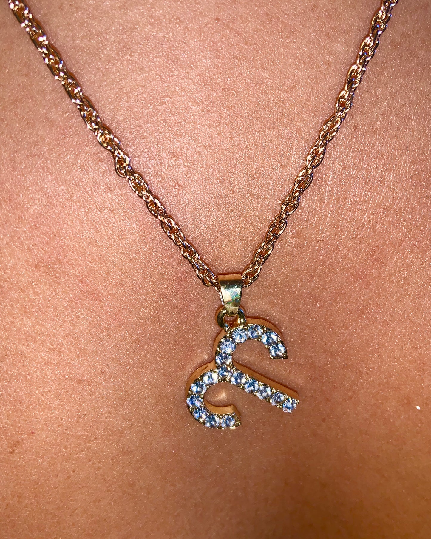 Zodiac Charm Necklace {view} Sign Options