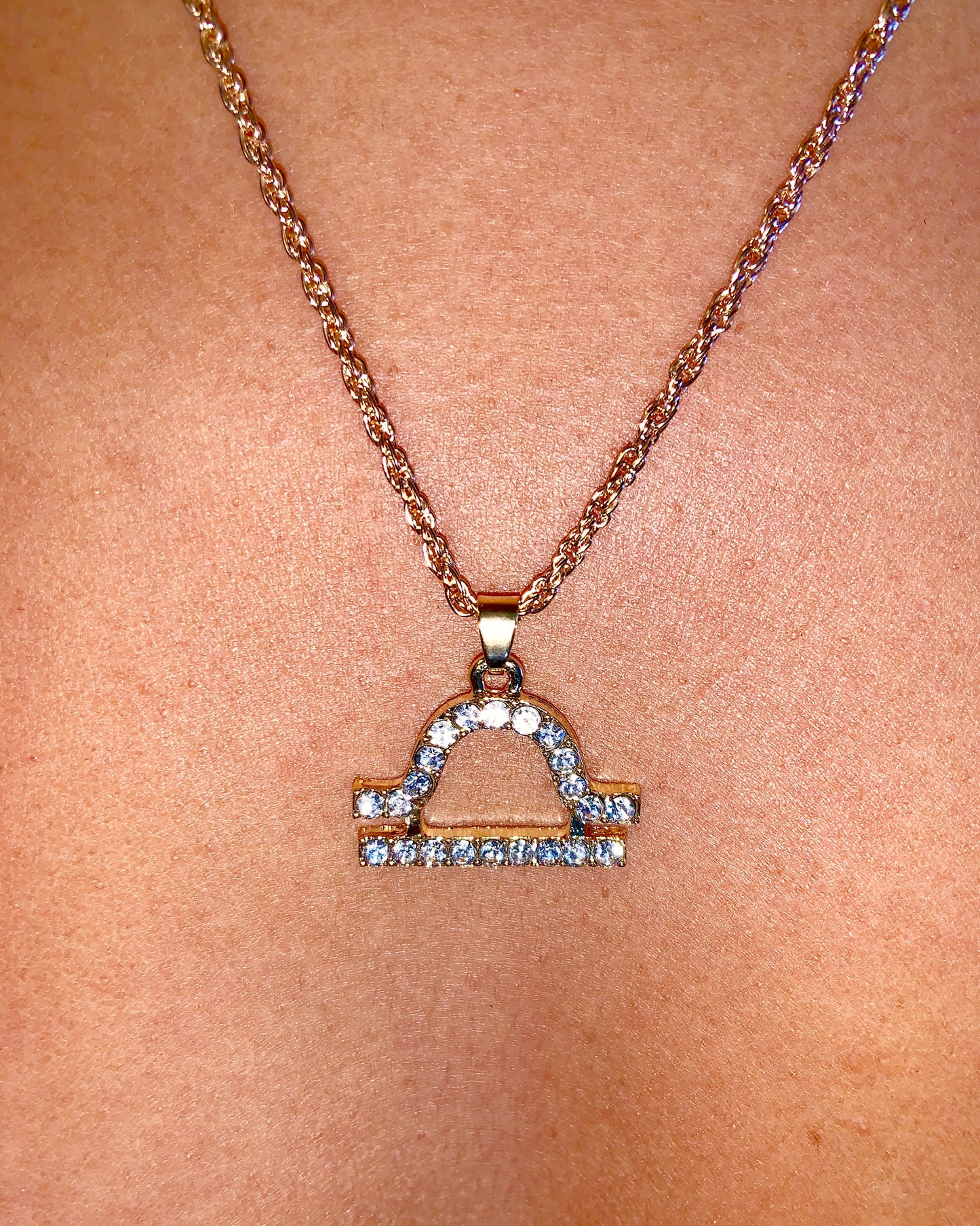 Zodiac Charm Necklace {view} Sign Options