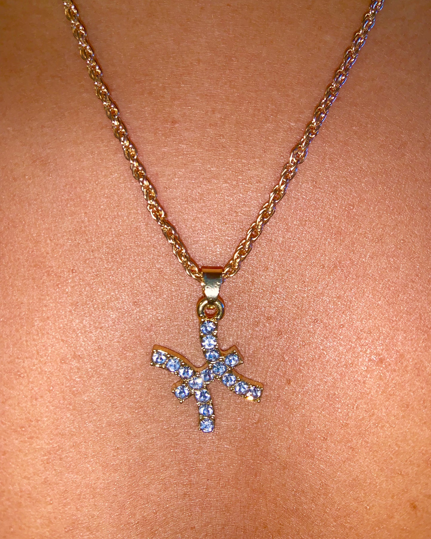 Zodiac Charm Necklace {view} Sign Options
