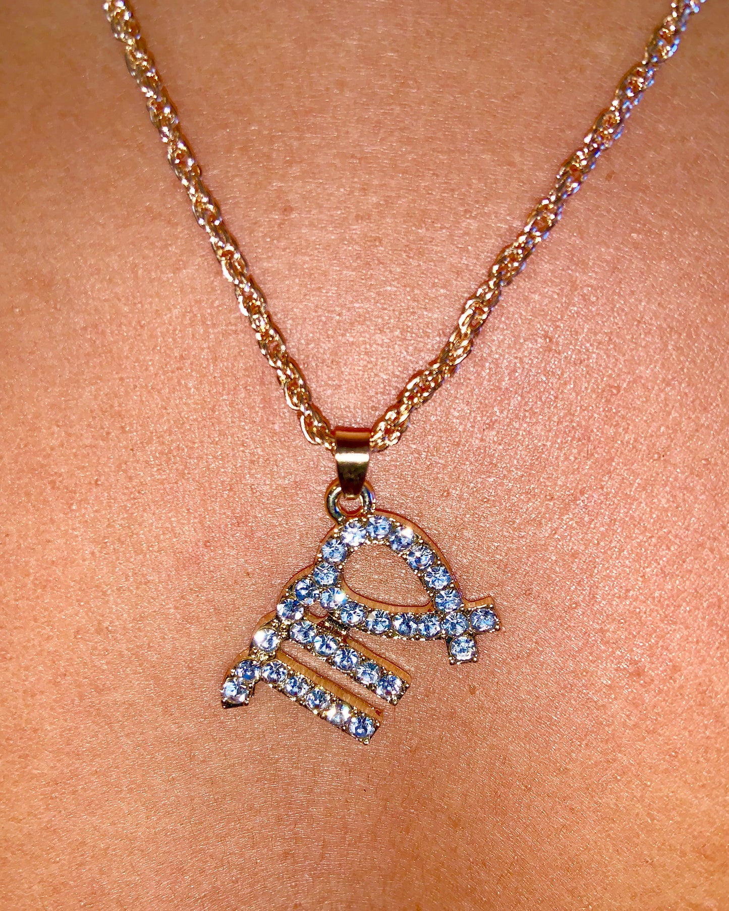 Zodiac Charm Necklace {view} Sign Options