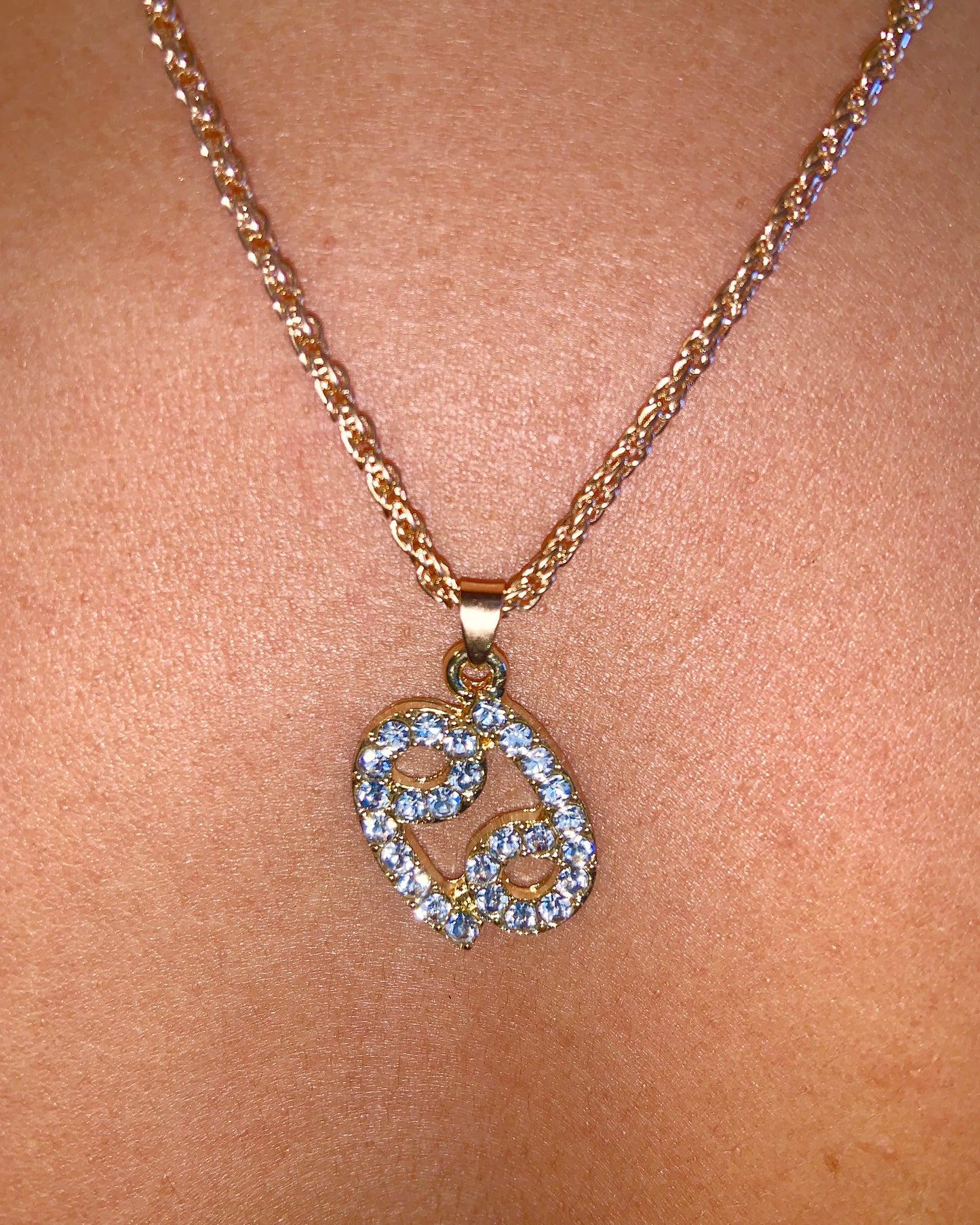 Zodiac Charm Necklace {view} Sign Options
