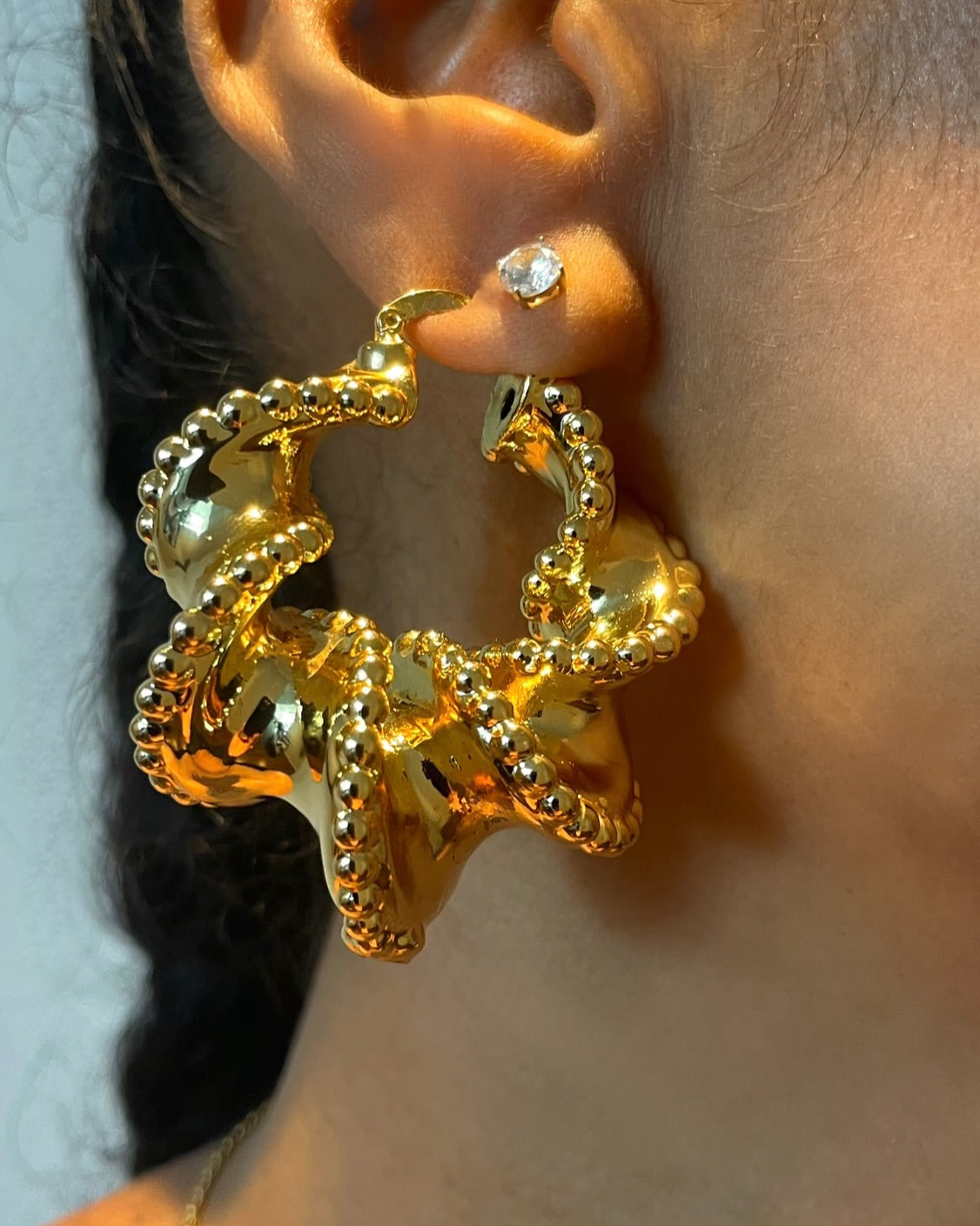 Zali Earrings {view}